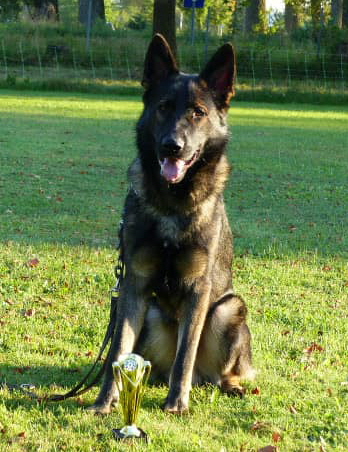 119676984_3224877637632326_4926237095851217226_n