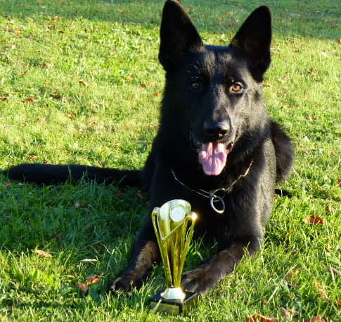 119736850_3224877687632321_8924853999773256312_n