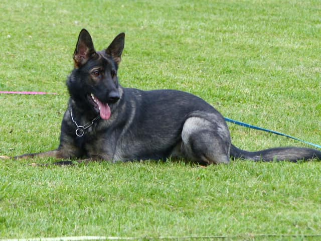 119749193_3224877864298970_1928152482333316777_n