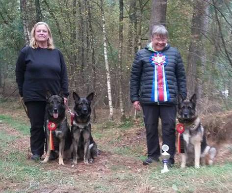 14731365_1073969102723201_8551801403521094086_n