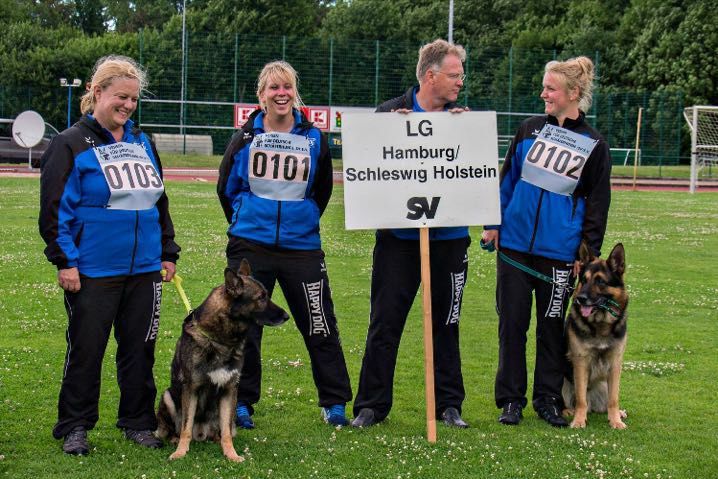 19429808_1340024566117652_2784781443190546795_n