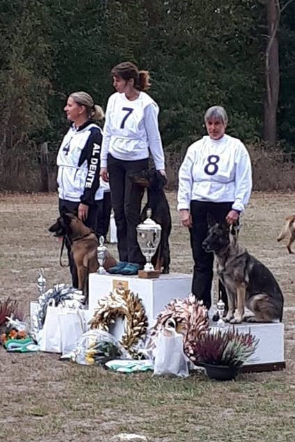 42898581_1799924126743600_8943875940555948032_n