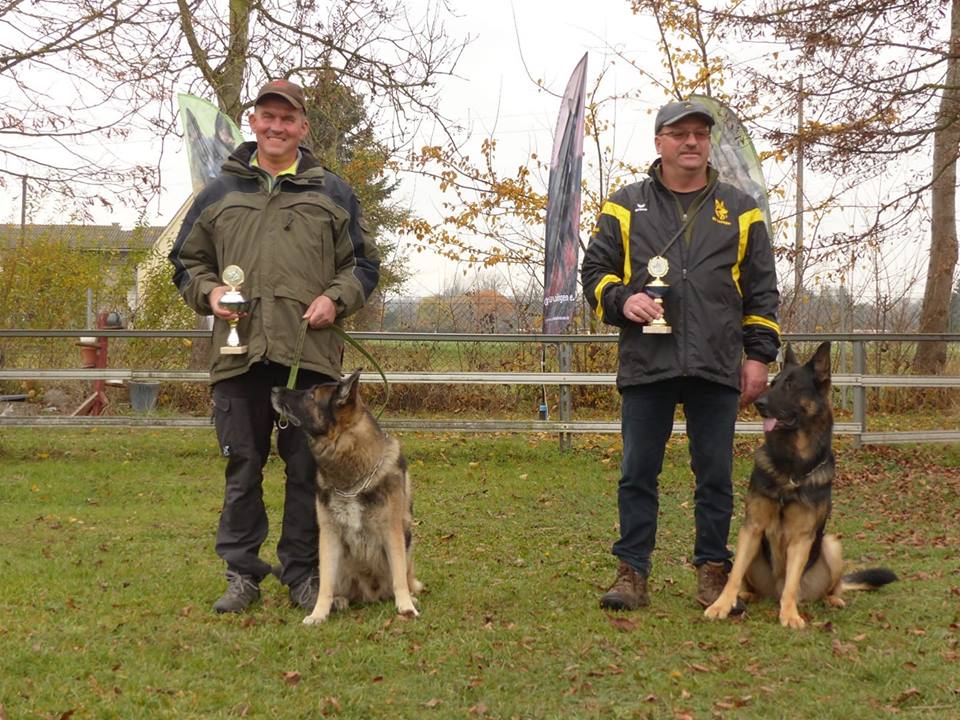 46208902_1891173821002721_3026990356337000448_n