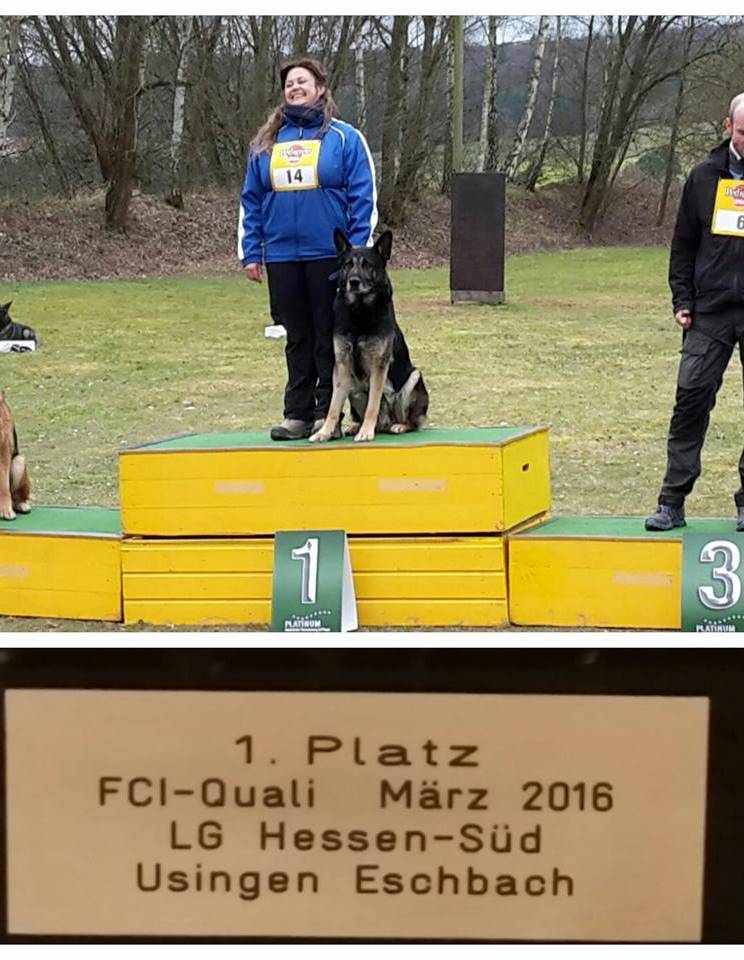 6163_832194823593814_4133854922281853839_n