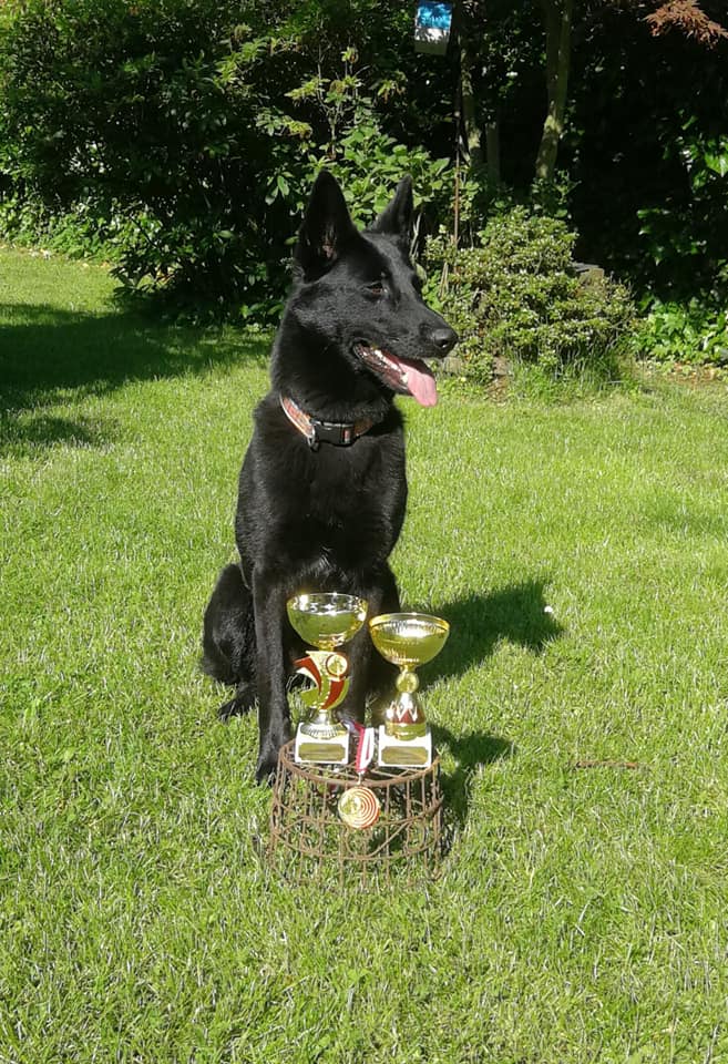 64294984_2201770596609707_6084768391166427136_n