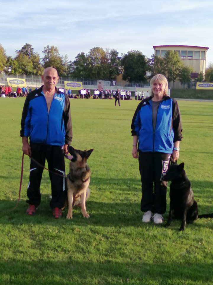 70833510_2375518962568202_444638387693944832_n