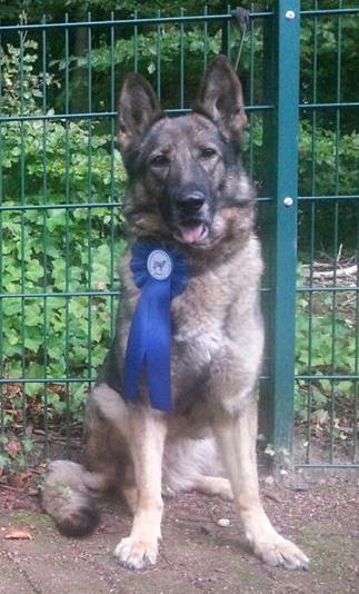 942751_572450022816201_2037604300_n